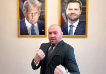Экс-боец UFC намерен участвовать в выборах президента Ирландии.