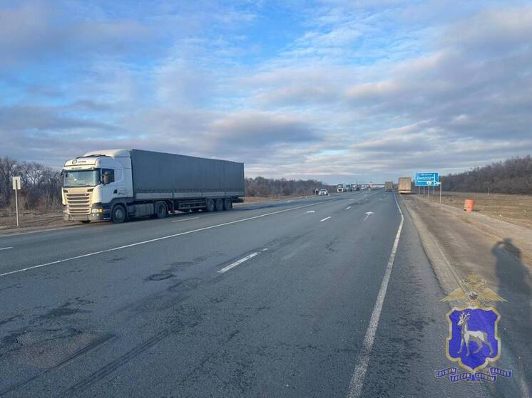 Водитель грузовика сбил мужчину на трассе М5 в Самарской области утром 20 марта