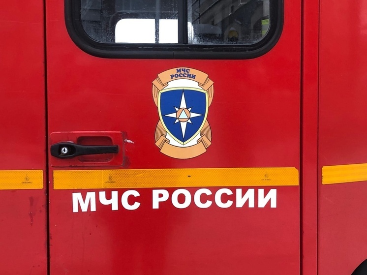 Два брата погибли сегодня на пожаре в Великоустюгском округе