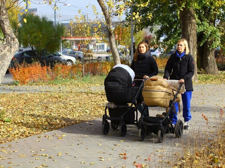 На Южном Урале выплату из маткапитала получают более 5 тысяч семей