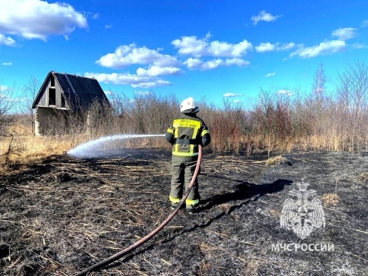 41 раз с начала недели горела сухая трава в Липецкой области