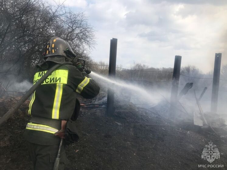 На Орловщине с начала года выписано более 45 штрафов за сжигание травы