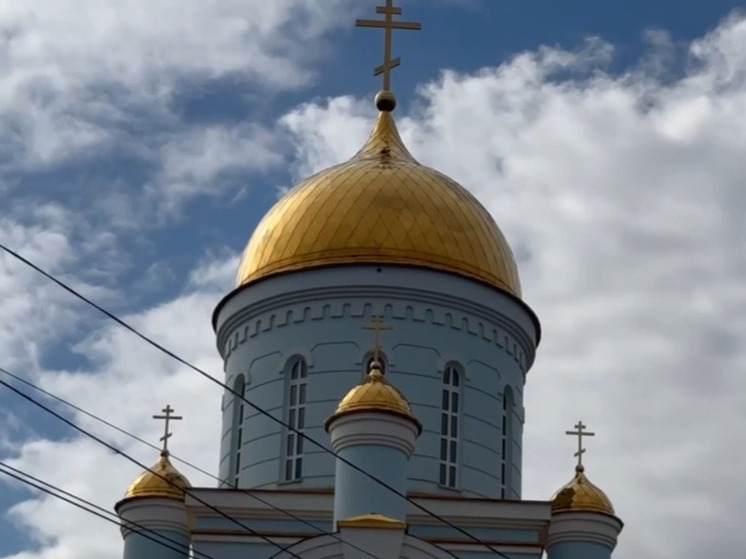 Херсонский депутат областной Думы помог храму в Новоалексеевке