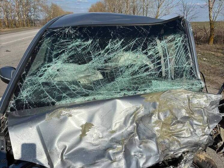 Четыре человека погибли в ДТП на трассе в Воронежской области