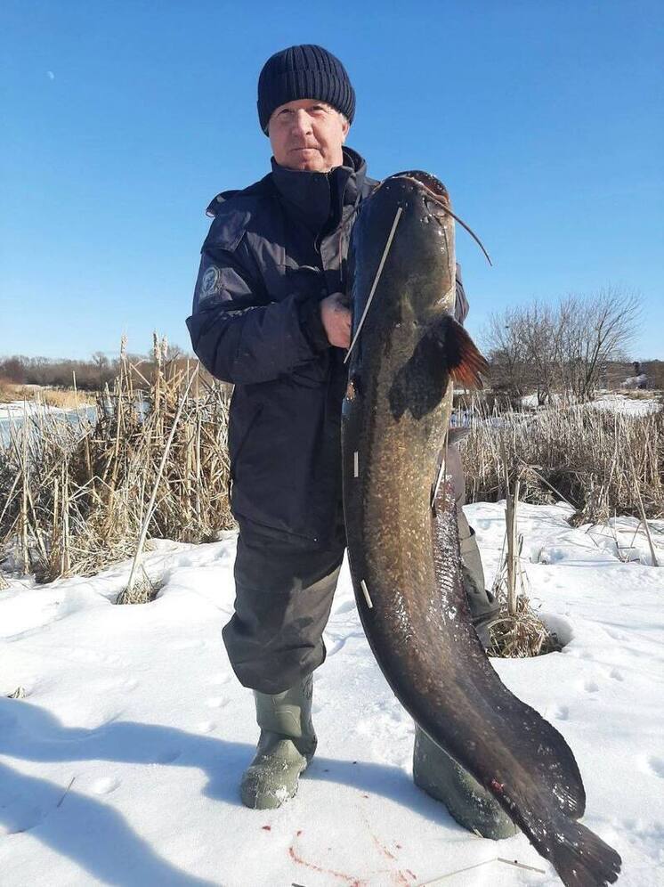 Гигантского сома поймал нижегородец в реке Пьяна
