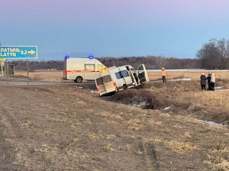 В Волховском районе автобус с несовершеннолетними съехал в кювет