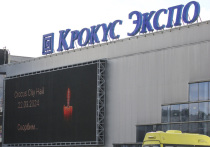 Следственный комитет России в годовщину теракта в концертном зале "Крокус сити холл" распространил заявление, в котором говорится, что это было спланировано и организовано спецслужбами недружественного государства, а непосредственной организацией занимались шесть граждан из Средней Азии