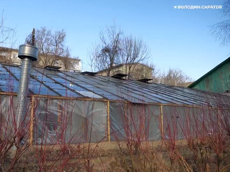 В Саратове восстановят Ботанический сад