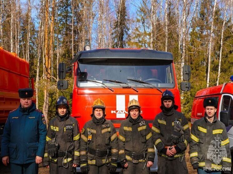 Неизвестные устроили глобальный лесной пожар в Ивановской области