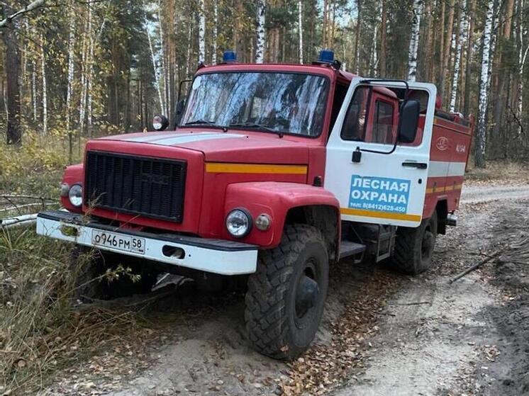 В Пензенской области утвердили план действий на случай лесных пожаров