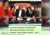 Звезда отечественного кино, театра и эстрады Ефим Шифрин отреагировал в соцсетях на смерть народной артистки РСФСР Ларисы Голубкиной