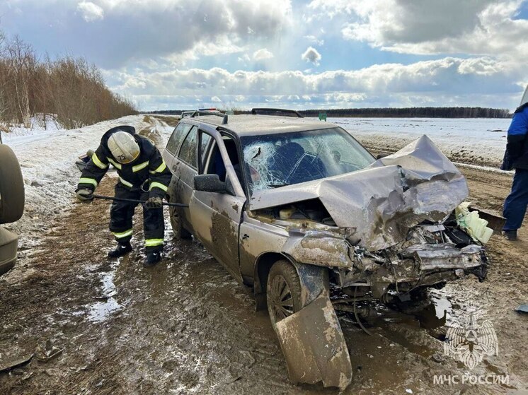 Омским спасателям пришлось домтавать водителя из машины на трассе