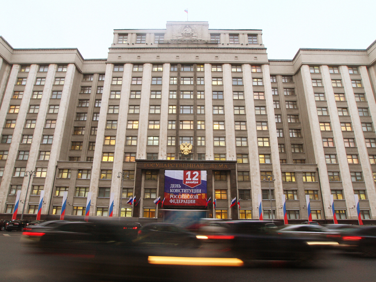 Депутат Чернышов: критерии нуждаемости для пособий многодетным следует отменить