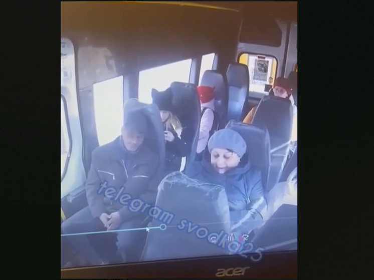 В Приморье задержали мужчину, пристававшего к школьнице в маршрутке