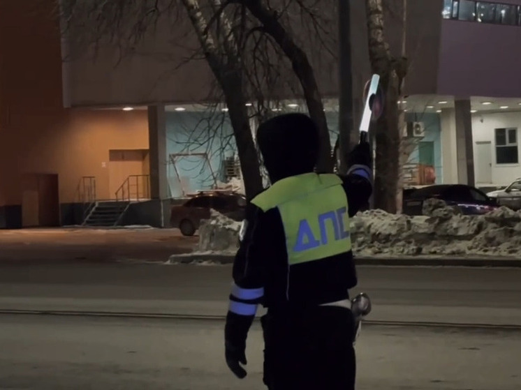 За два дня в Уфе поймали семь пьяных водителей