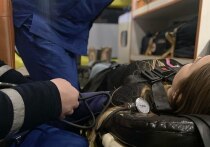 Для того, чтобы все льготники могли получать препараты в день обращения в аптеку, нужно четко отрегулировать план закупок и логистику поставок лекарств в аптеку
