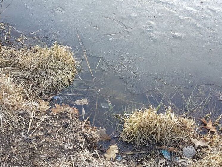 На реках Подмосковья снижается уровень воды