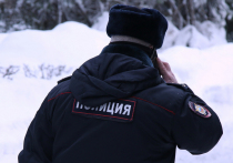Удар ножом получил житель подмосковного Егорьевска 22 марта от соседа-пенсионера, который хотел тишины