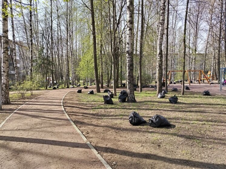 В Великом Новгороде накажут «рублем» за уборку песка без орошения