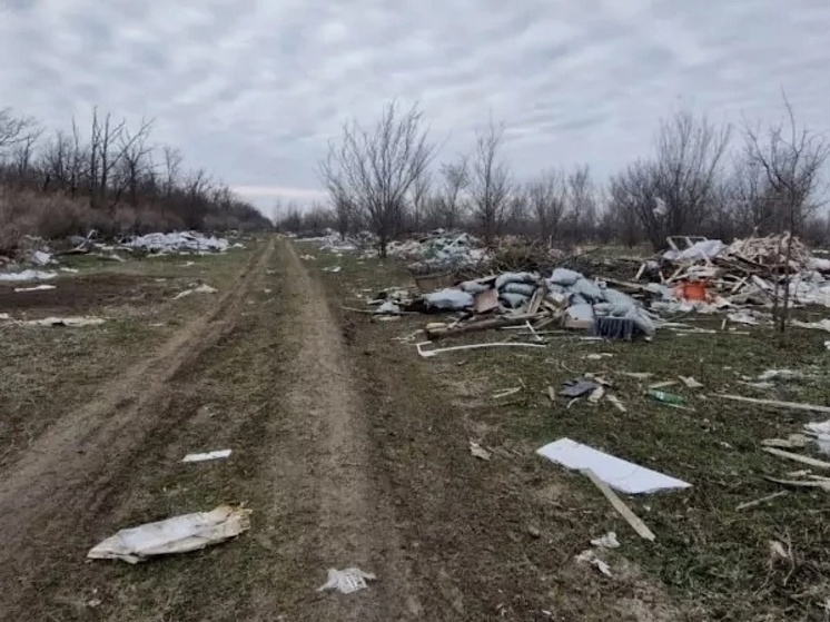 Ростовчане пожаловались на стихийную свалку на Левенцовском поле