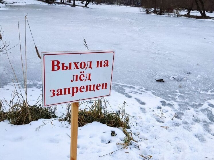 Следователи начали проверку личности ребенка, утонувшего в Тосненском районе