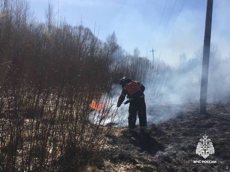 В Тверской области сухая трава горела 12 раз за день