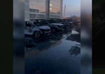 Ущерб от крупного пожара на автостоянке на улице Надибаидзе во Владивостоке достиг 67 миллионов рублей