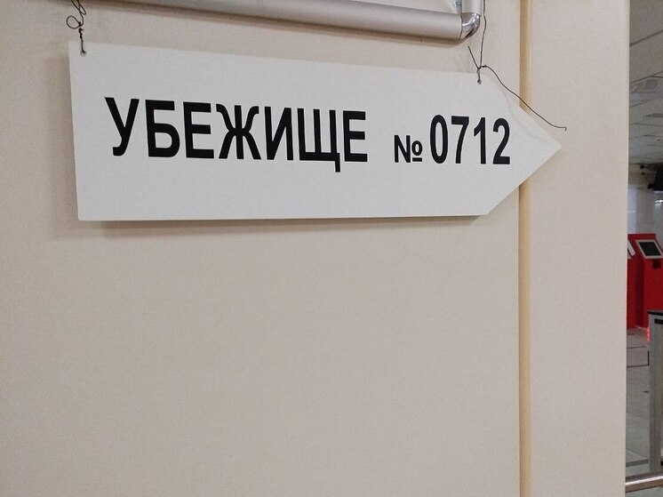 Бомбоубежища Северной столицы проверят компании из Москвы, Тулы и Петербурга