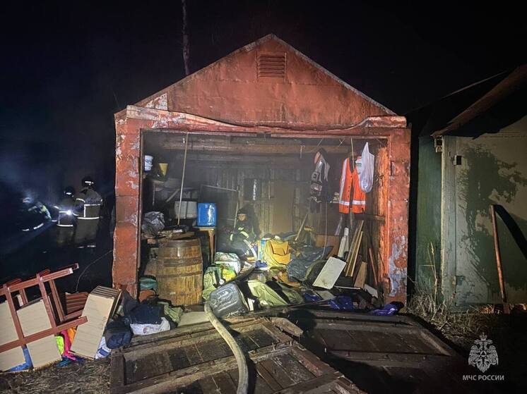 10 специалистов МЧС ликвидировали пожар в Великих Луках