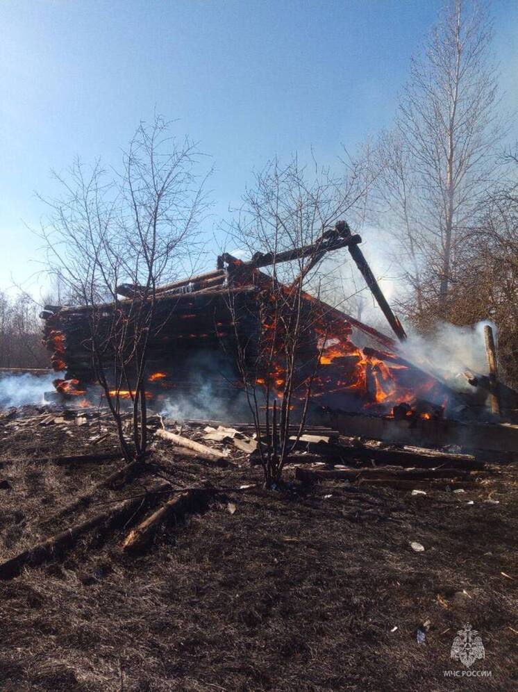 Хозяйственная постройка загорелась в Новосокольническом районе из-за пала травы