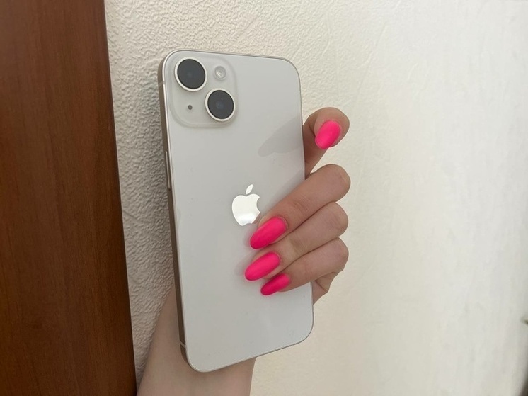  Тулячка отправляется на принудительные работы за кражу iPhone