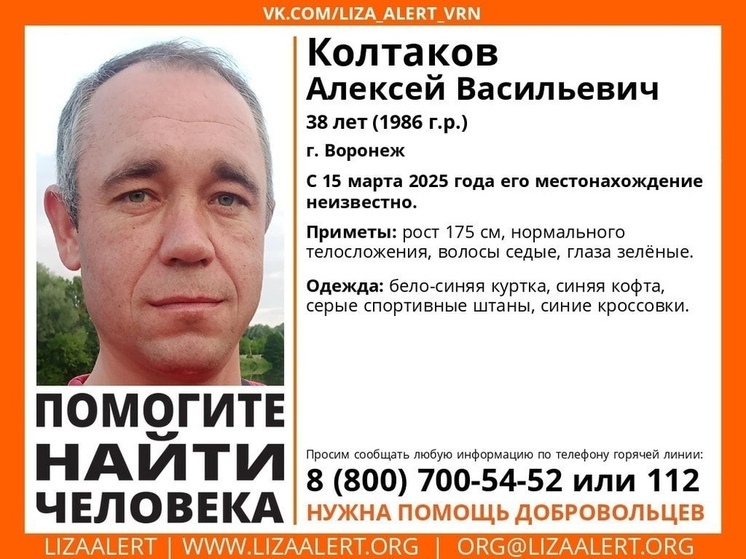 В Воронеже волонтеры разыскивают Алексея Колтакова