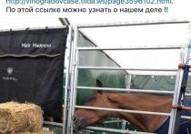 Политические процессы в Европе, хотя бы пока на примере Словакии, где взят курс на отказ от русофобии, сулят возобновление отношений в самых разных областях