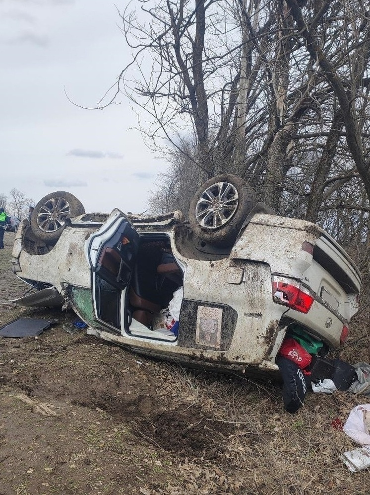 Два человека попали в реанимацию после аварии на орловской трассе