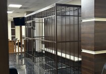 24 марта Октябрьский районный суд вынес приговор по уголовному делу экс-гендиректора компании «Эко-Комплекс» Виктора Карла