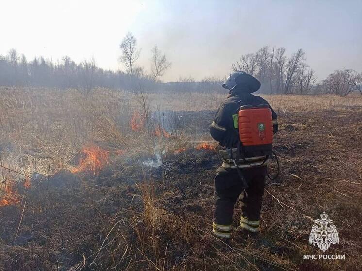 За сутки в Тульской области зафиксировали 17 палов травы