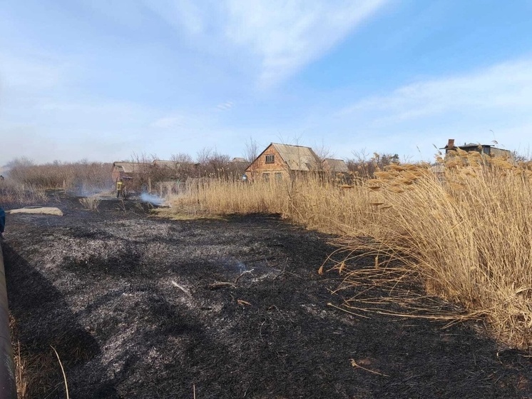 В городе Шахты на большой площади горит сухостой