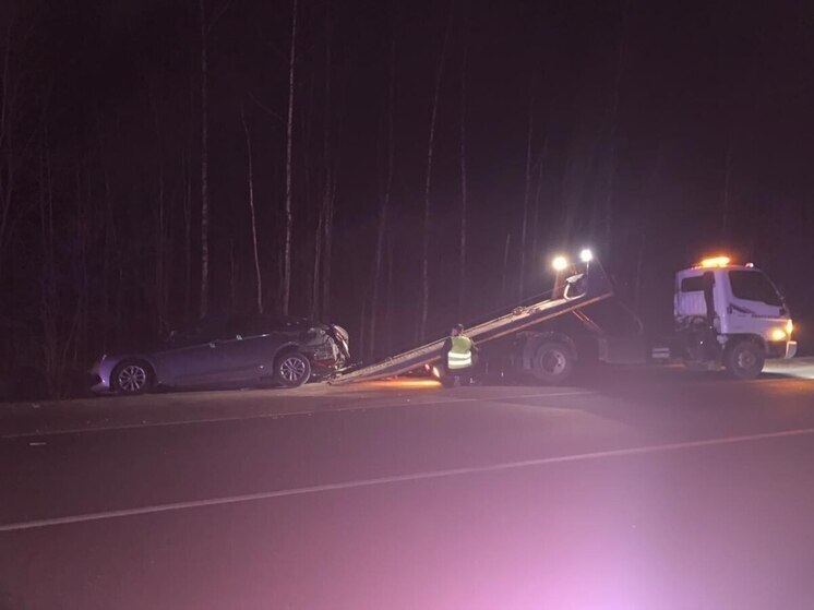 Устроивший в Жиздринском районе смертельное ДТП дальнобойщик, стал фигурантом уголовного дела