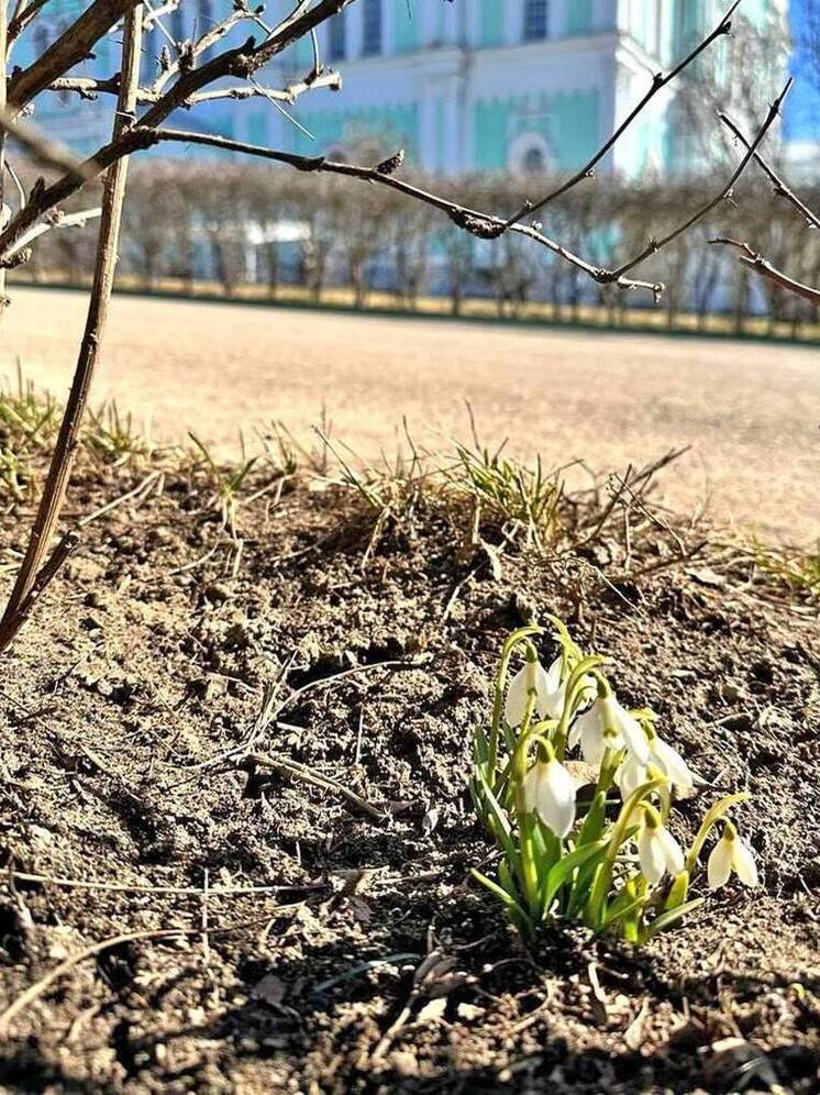 Похолодание ждет нижегородцев 26 марта