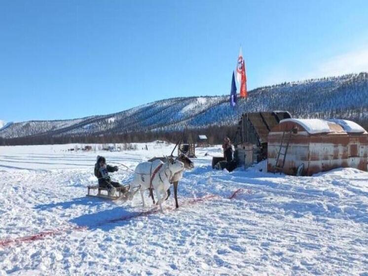 Внуки известного оленевода Пананто стали лидерами гонок "Эракор-2025"