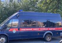 Об этом рассказали в СК по Красноярскому краю