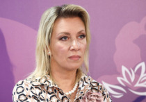Готовящаяся Украиной и Великобританией международная конференция по Буче — это провокация, на которой участники попытаются заново изложить недостоверные сведения о произошедших в городе событиях