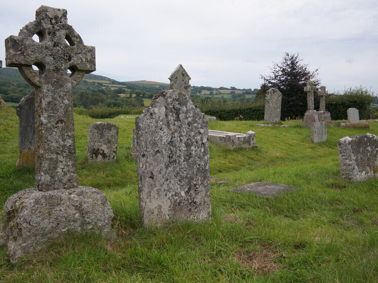 Крематорий домашних животных устроил свалку с останками сотен питомцев во Владивостоке