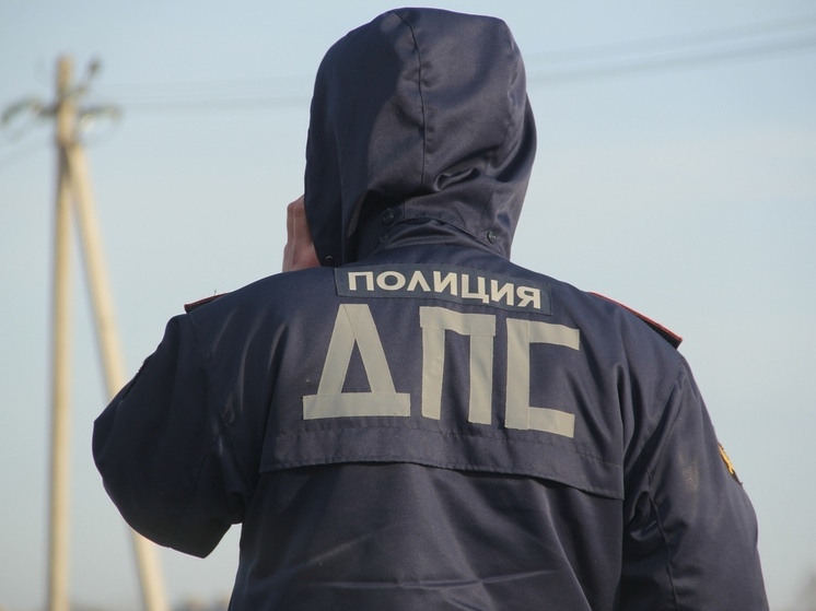 Череповецкие сотрудники ГИБДД при проверке документов выявили нелегального мигранта