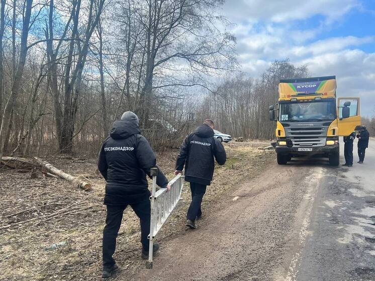 Перевозчиков на самосвалах осудят за нарушение экологических норм в Ленобласти