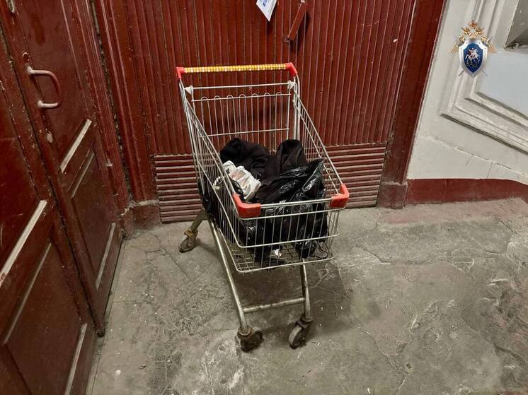 В Петербурге пенсионер вез в продуктовой тележке фрагменты человеческого тела
