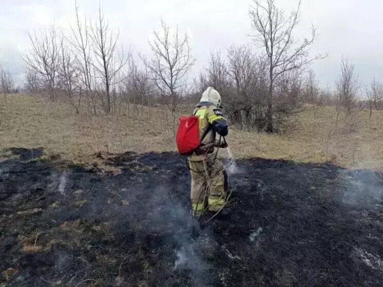 В Ростовской области треть ландшафтных пожаров тушат добровольцы
