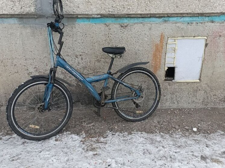 Выставленный за дверь друг украл велосипед у ленинградца в отместку за драку
