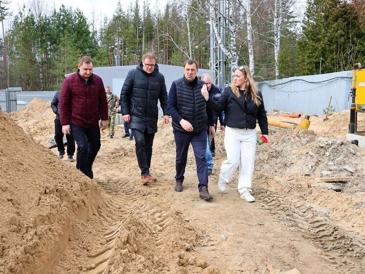 В рязанской Солотче планируют создать дополнительные экопарковки