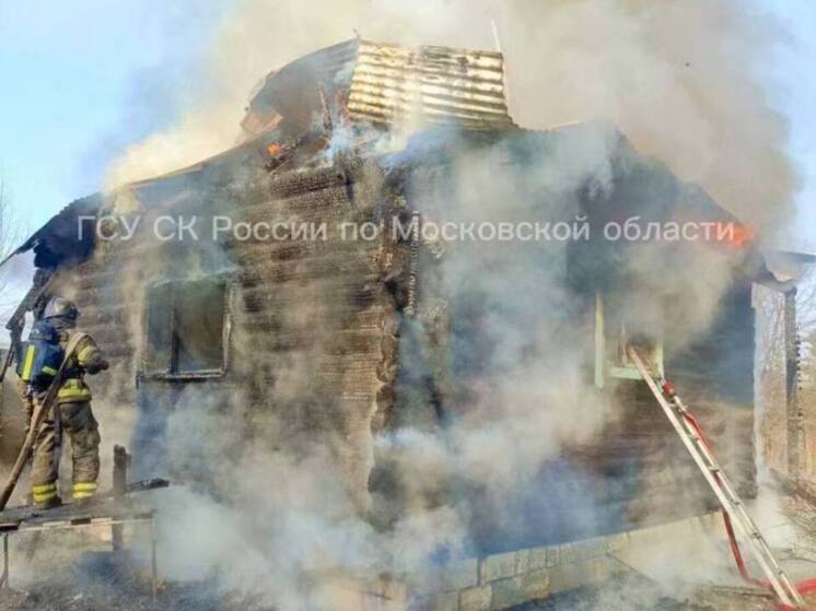 Малыш 2 лет погиб во время пожара в Раменском округе